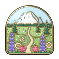 The meadow in bloom