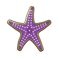 Tide-pool sea star Tide-pool sea star